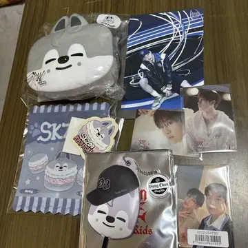 SKZOO 파우치 & 혜택 세트 Chani 여러 가지