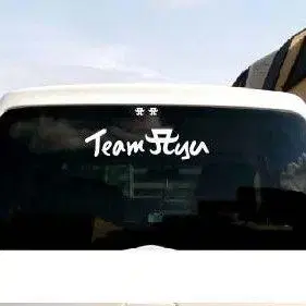 커팅 스티커 Team Ayu 400