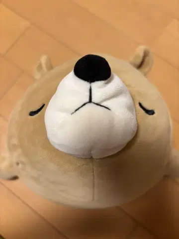 곰 봉제 인형
