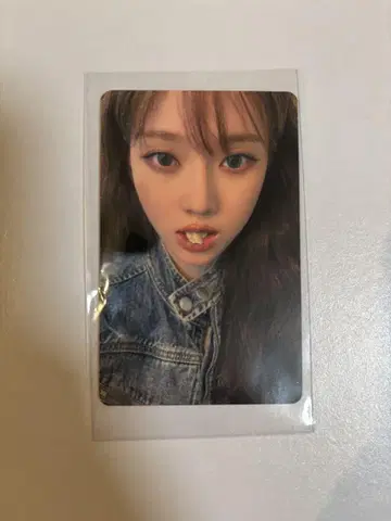 윈터 펜미 트레이딩 카드