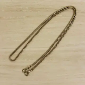 백 체인