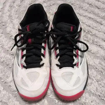 Mizuno 테니스화 25.5cm