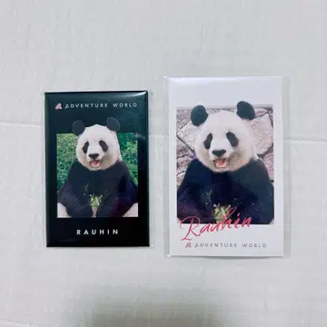 어드벤처 월드 팬더 패밀리 요하마 마그넷 폴라로이드 카드