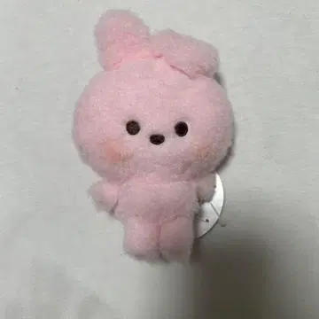 BTS 쿠키 빈 인형 미니니