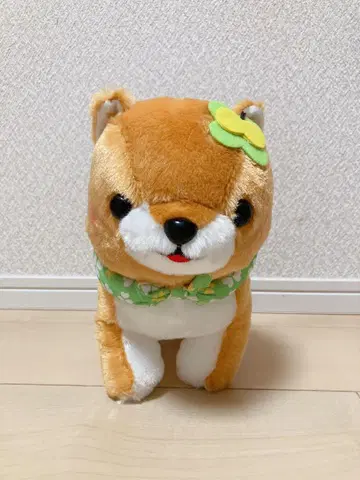시바견 봉제 인형 오렌지 컬러