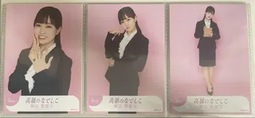 타카미네 나데시코 히가시야마 에리사 브로마이드 수트