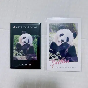 어드벤처 월드 팬더 패밀리 유이하마 마그넷 폴라로이드 카드