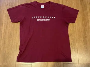 SUPER BEAVER 티셔츠 L 사이즈 버건디