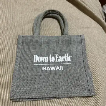 Down to Earth 그레이 에코백