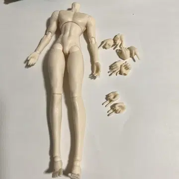 시칠리아의 추억 바디 부품