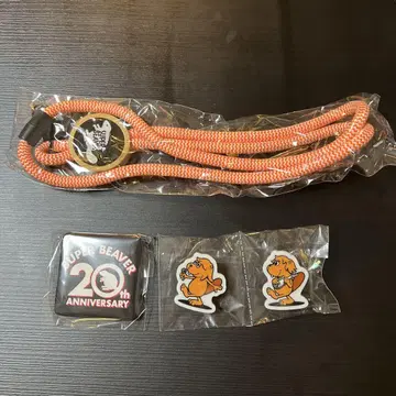 SUPER BEAVER 20th Anniversary 가챠가챠 세트
