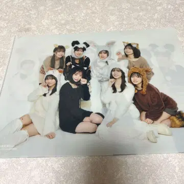 아이돌 그룹 클리어 파일 동물 코스튬
