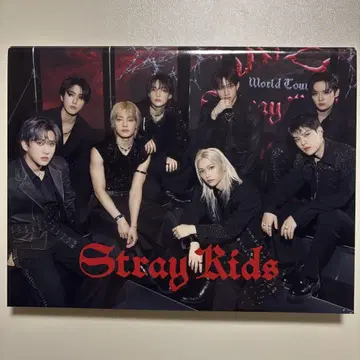 straykids domin ate 트레이딩 카드 케이스 랜트레
