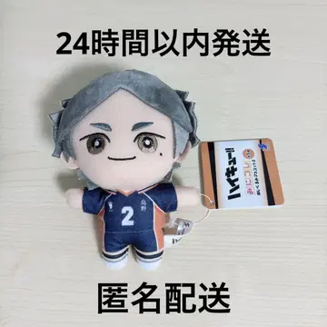 하이큐!! 미코레! 봉제 인형 마스코트 2 스가하라 허리