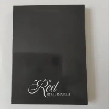 3대째 이마이치 류지 "R"ED 커스터마이즈 거울