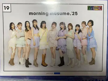 집합 19 핑포스 모닝구 무스메. '25 memory lane