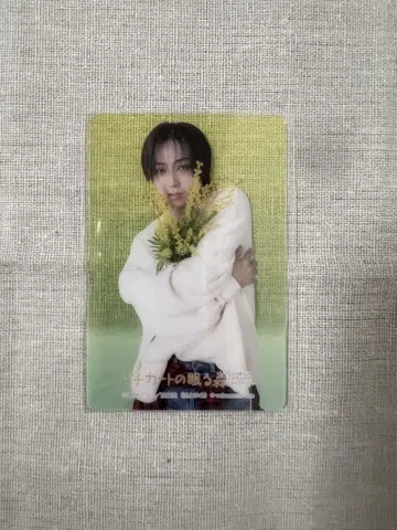 아오이 쇼타 비주얼 트레이딩 카드