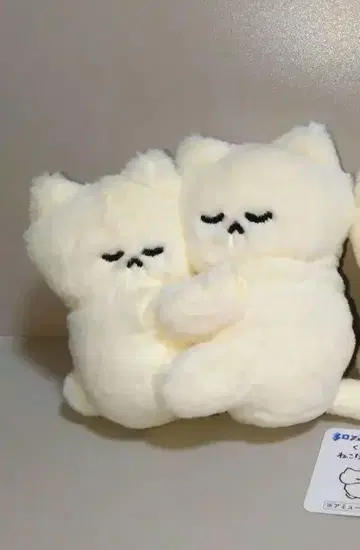 붙어 자는 고양이 봉제 인형