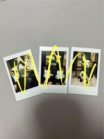 고양이 고양이 고양이 ZOCX 폴라로이드 3장 세트