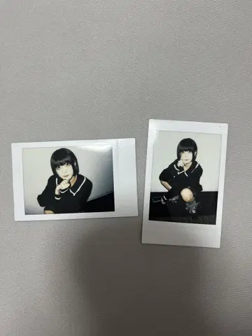 고양이 고양이 고양이 ZOCX 폴라로이드