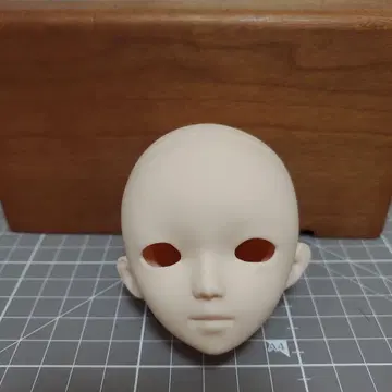 파라 박스 커스텀 인형용 헤드