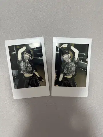 고양이 고양이 고양이 ZOCX 폴라로이드 2장 세트