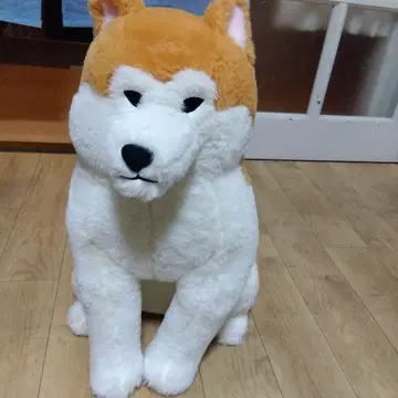 아키타견 봉제 인형 중형 47cm
