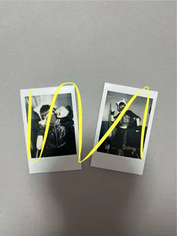 고양이 고양이 고양이 ZOCX 폴라로이드 2장 세트
