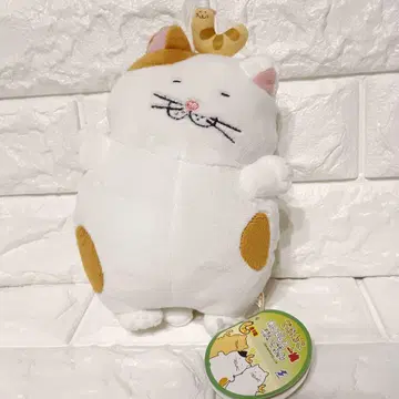 뚱보 고양이 고양이 벌레와 함께 봉제 인형 터키쉬