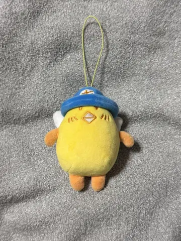 윤사나 펑키링
