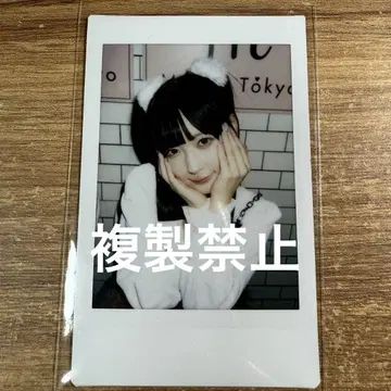 삐삐삐삐 해보세요 신기루 아뮤 폴라로이드