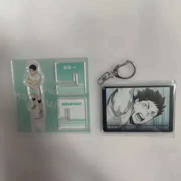 하이큐! 팬 파크 이와이즈미 하지메