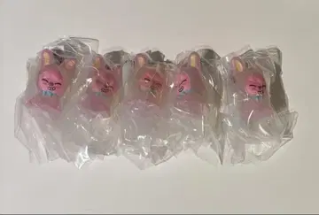 SKZOO 메지루시 액세서리 돼끼 5개 세트