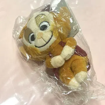 쵸코리 씨, 아부, 알라딘