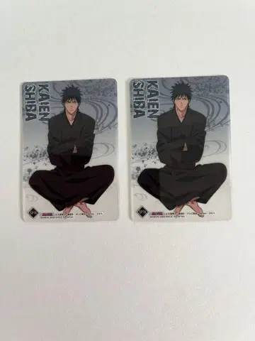 BLEACH 블리치 클리어 카드 클리어 컬렉션 시바 카이엔 2개