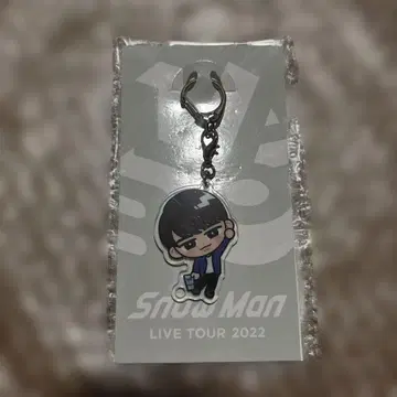 미개봉 새상품 Snow Man 스노우 칠 아크릴 키링 와타나베 쇼타