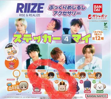 RIIZE 통통한 메지루시 액세서리 가챠 성찬