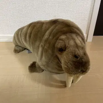 HANSA 한사 바다코끼리 봉제 인형