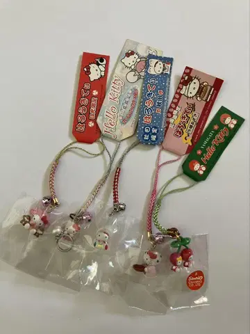 지역 키티 네즈