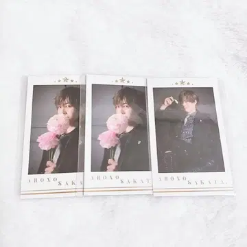 우라시마사카타센 아호노 사카타 토나리노 사카타 폴라로이드