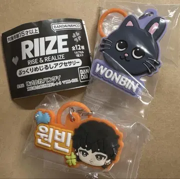 RIIZE 통통한 메지루시 액세서리 원빈 가챠