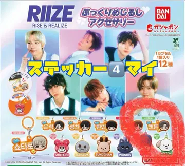 RIIZE 가챠폰 메지루시 액세서리 앤톤
