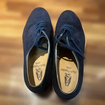 Hush Puppies 브레이브 네이비 드레스 신발