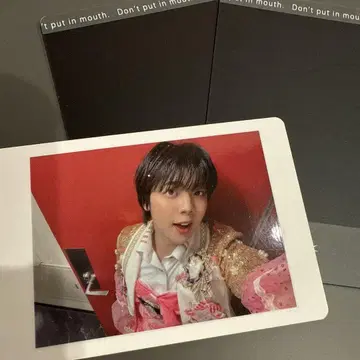 팬더 드래곤 파라곤 나기 하피카