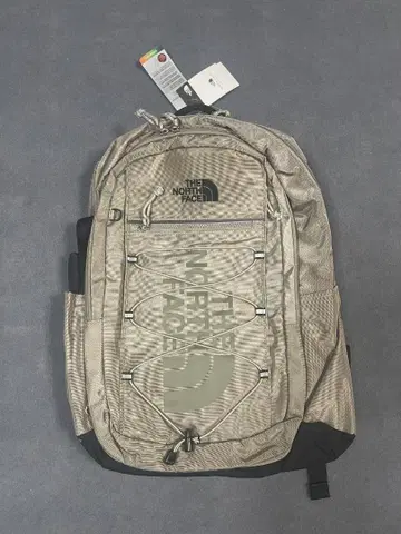 THE NORTH FACE 베이지 백팩