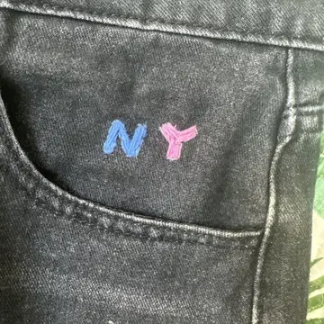 배기진