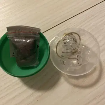 우리 아이의 털뭉치, 키지트라