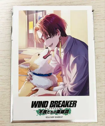 WIND BREAKER 불량들의 영웅담 폴로이드 카드 소샹샹
