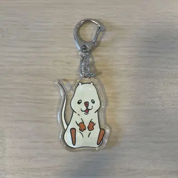 와라비 키링