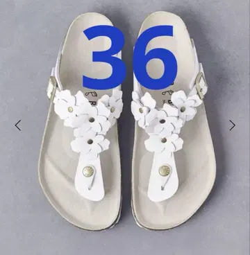 유나이티드 애로우즈 별주 버켄스탁 기제 플라워 36 완판 인기 상품